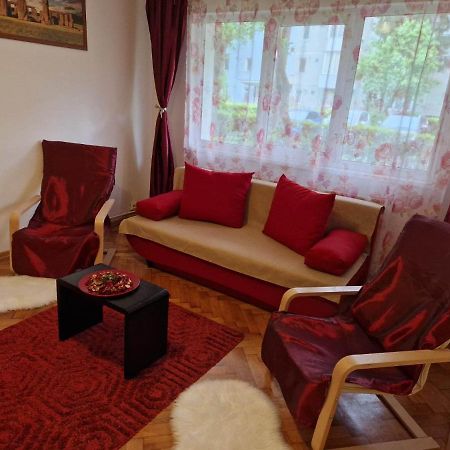 Petuniei Apartment Брашов Екстер'єр фото