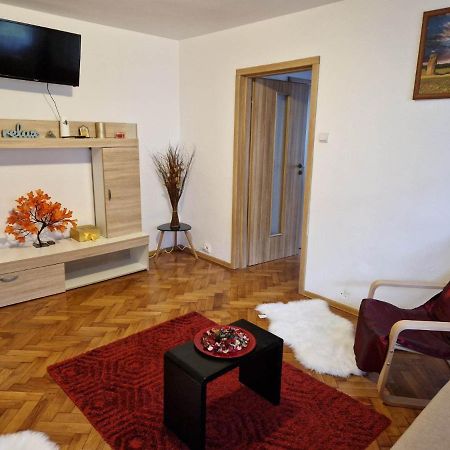 Petuniei Apartment Брашов Екстер'єр фото