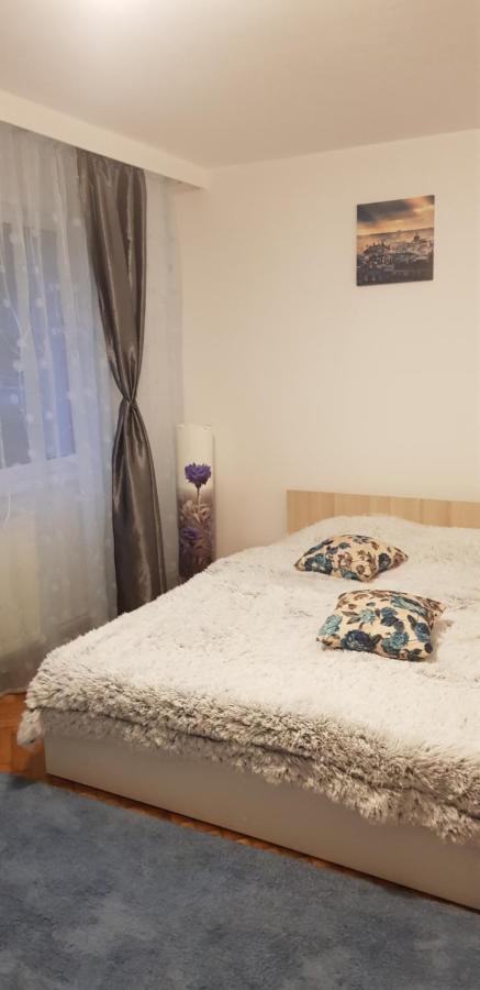 Petuniei Apartment Брашов Екстер'єр фото