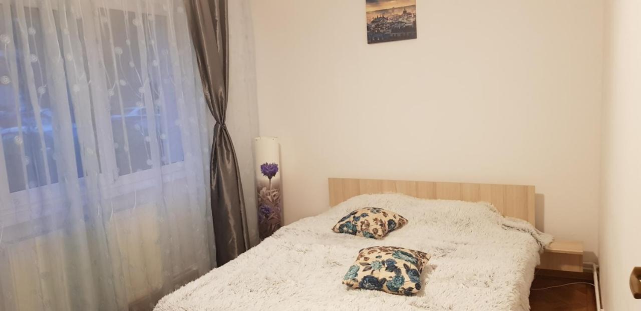 Petuniei Apartment Брашов Екстер'єр фото
