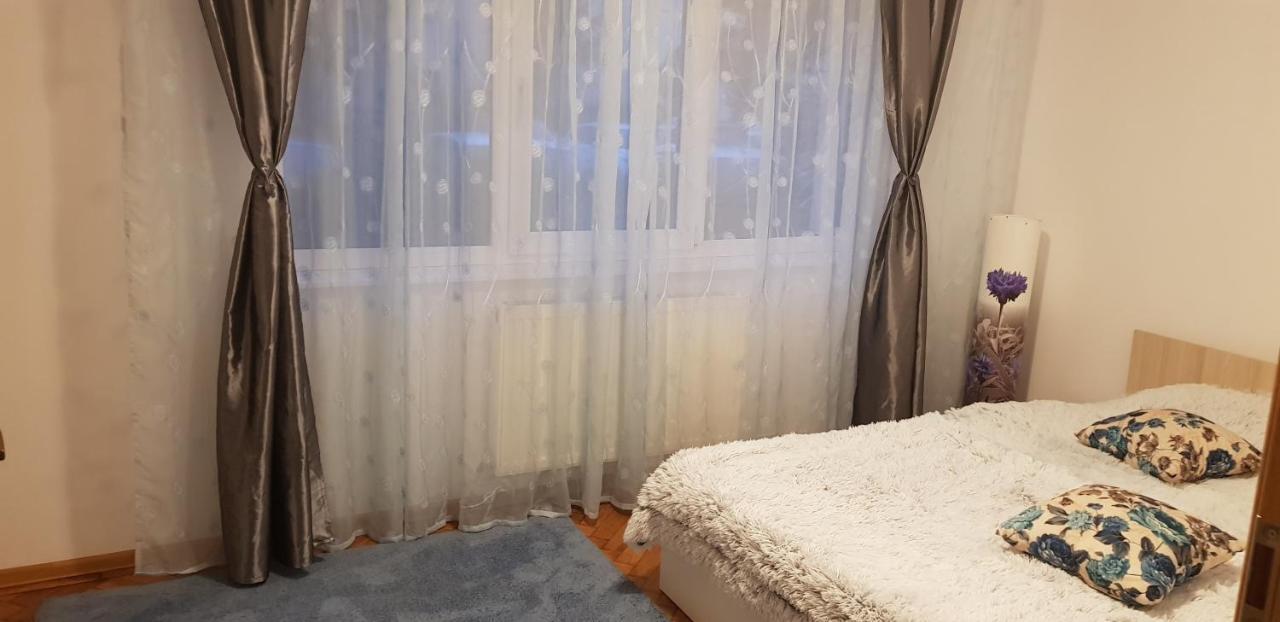 Petuniei Apartment Брашов Екстер'єр фото