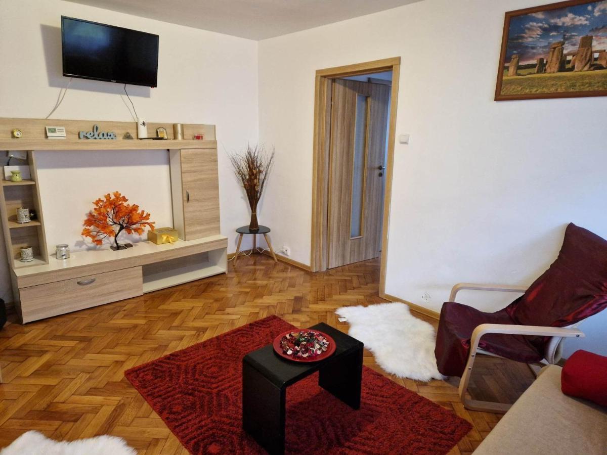 Petuniei Apartment Брашов Екстер'єр фото