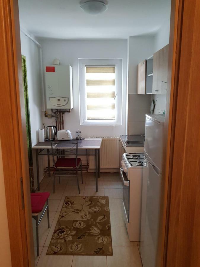 Petuniei Apartment Брашов Екстер'єр фото