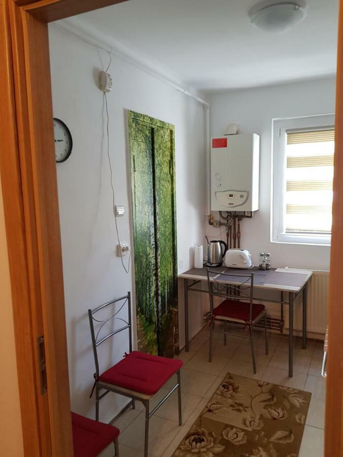 Petuniei Apartment Брашов Екстер'єр фото