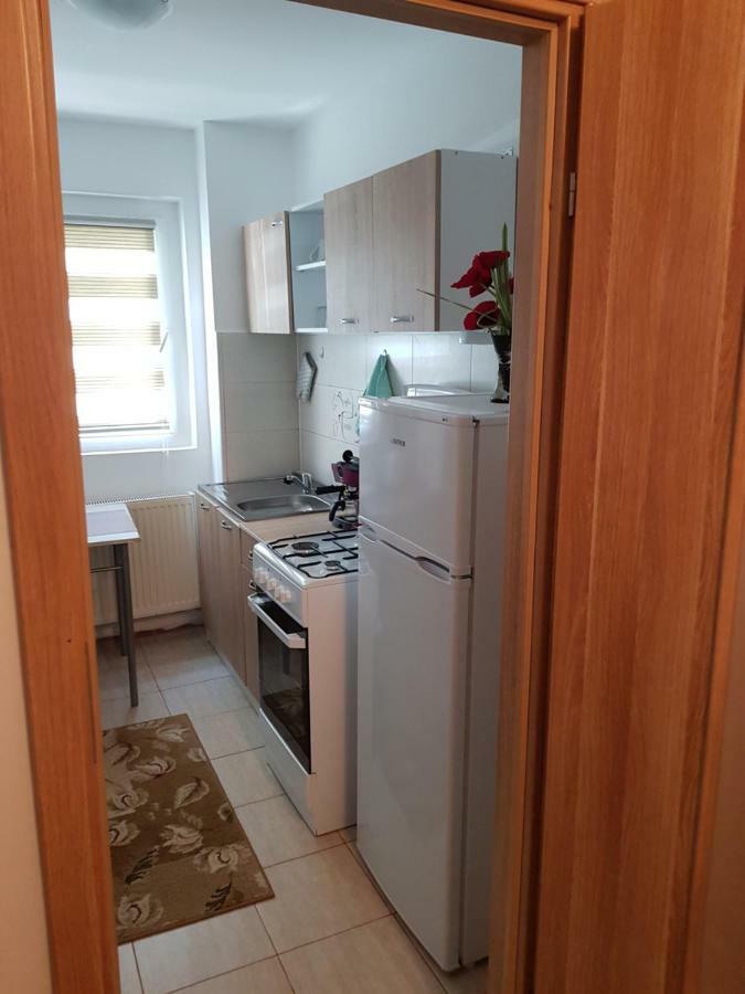Petuniei Apartment Брашов Екстер'єр фото
