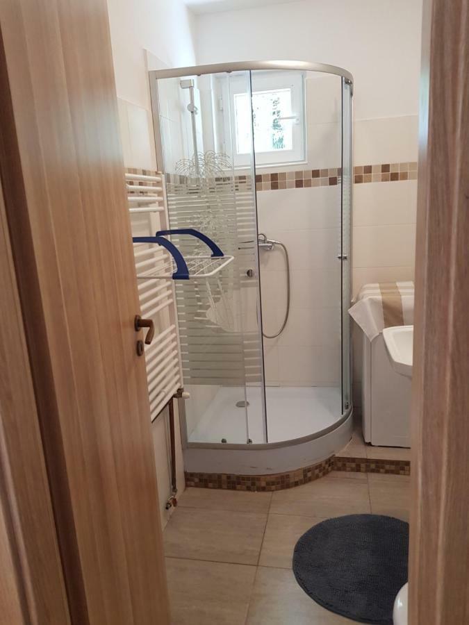 Petuniei Apartment Брашов Екстер'єр фото